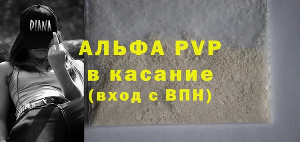 apvp Алзамай