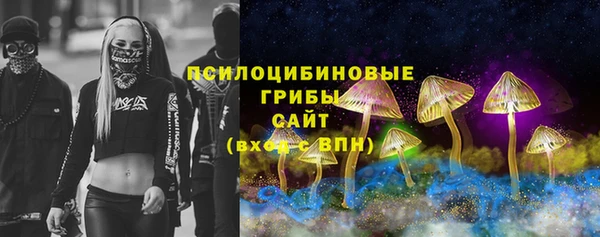 apvp Алзамай